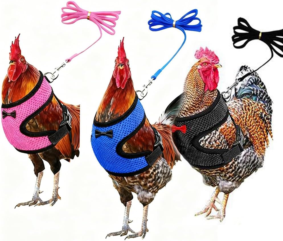 Chicken Leash and Harness Set Adjustment mesh Duck Harness Vest，Blue M