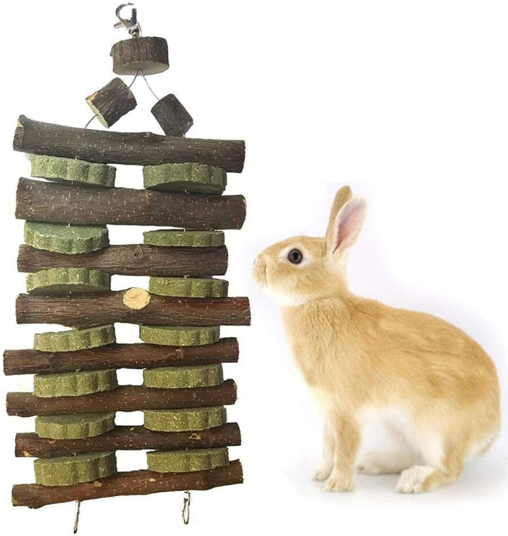 kathson 6 PCS Bunny Chew Toys for Teeth Grinding, Chinchilla Treats Organic Bamboo Sticks Natural Fruitwood Branches for Rabbits Guinea Pigs Hamsters (Fruitwood Sticks+Alfalfa Cakes)