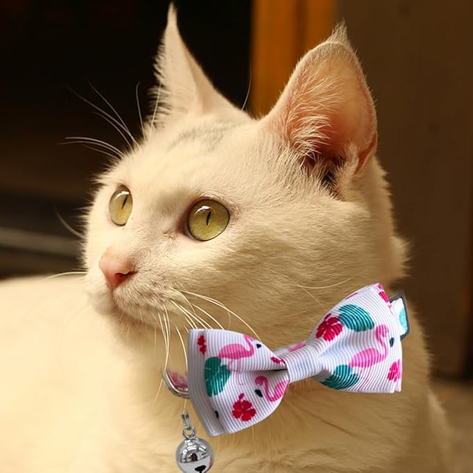 3 Pack Hawaiian Breakaway Cat Collar - Image 6