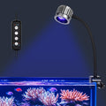 fishkeeper Saltwater Aquarium Light for 5-10 Gallon, 24/7 Reef LED Light