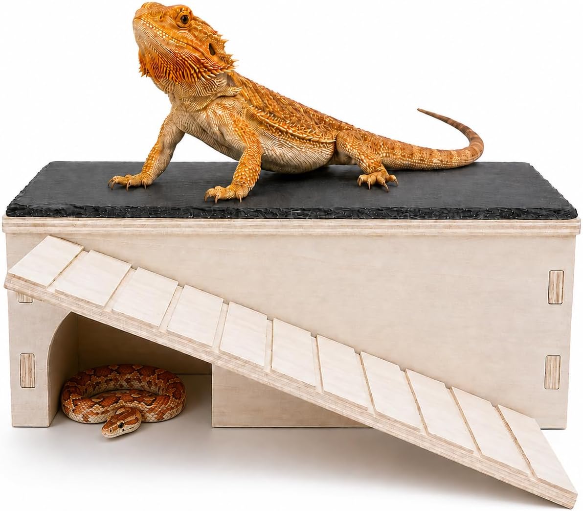 Bearded Dragon Basking Platform with Hideout Ramp & Slate Top