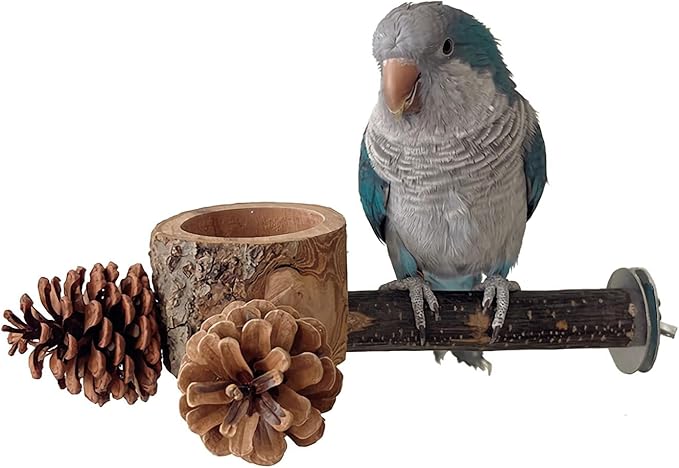 2 Pcs Bird Perch with Safe Bowl Wood & Pinecones by Unknown