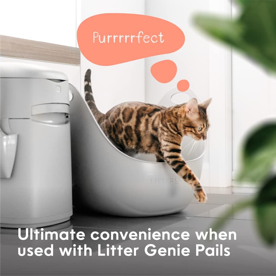 Litter Genie Cat Litter Box in Flexible Plastic with Handles, High Walls