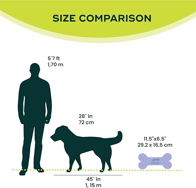 Mini K9fitbone Balance Training Platform - Image 2