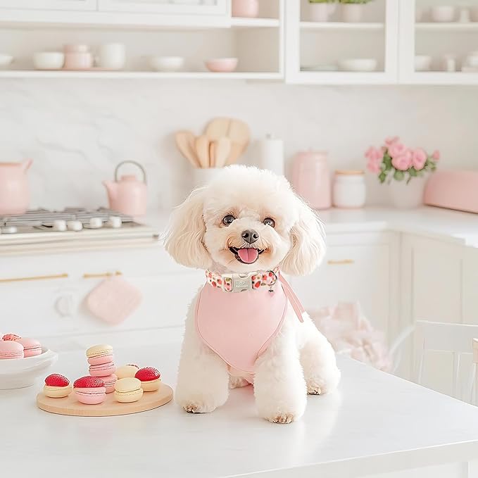Strawberry Dog Collar for Small Dogs - Image 5
