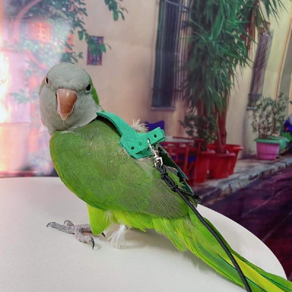 Bird Flight Harness Vest, Parrot Flight Suit with Leash for Parakeets, Bird Flying Clothes with Rope and Handle for Outdoor Activities Training, Anti Bite (XS)