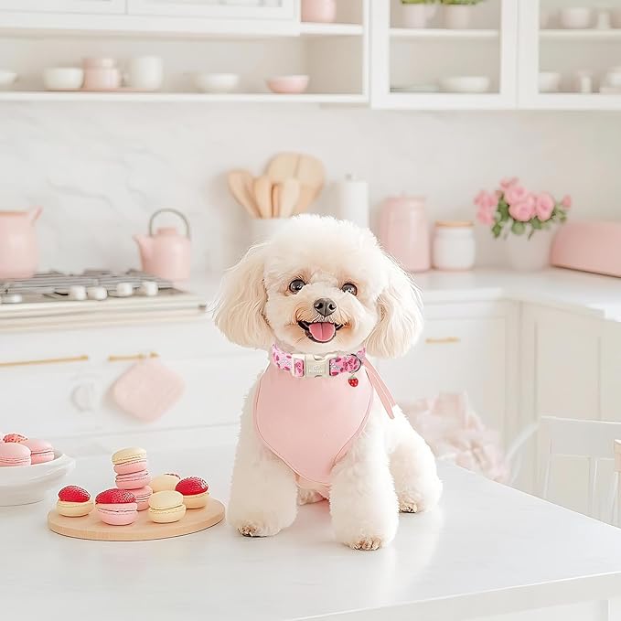 Strawberry Bow Dog Collar for Puppy Small Dogs - Image 6