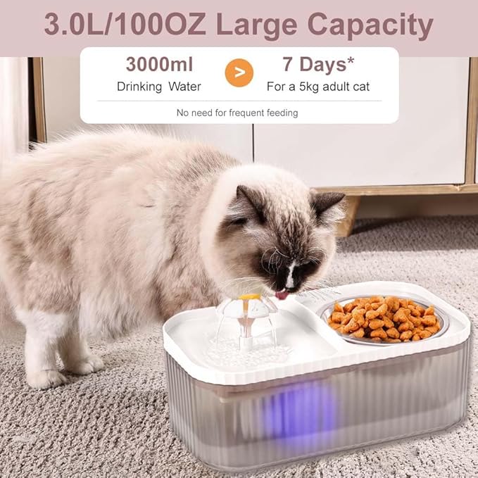 Marchul Cat Water Fountain and Stainless Steel Food Bowl, 100oz/3L Super Quiet - Image 3