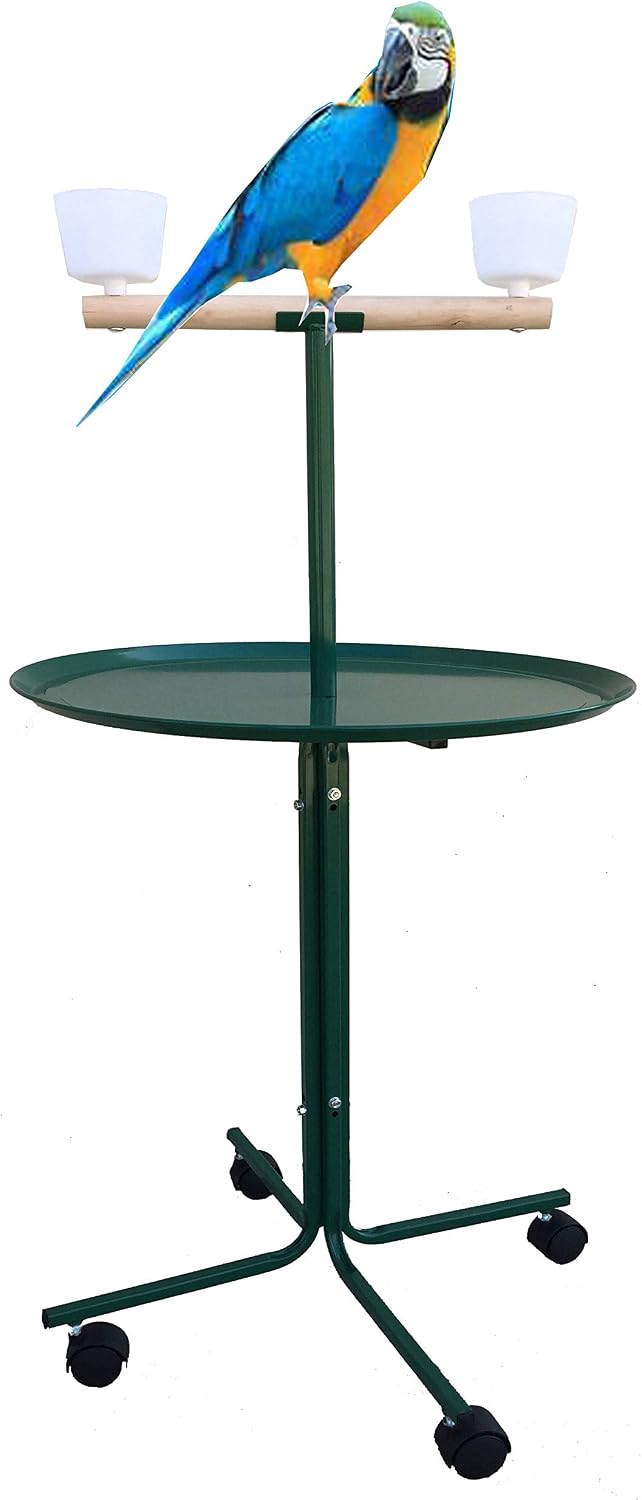 Large 48" Parrot Bird Play Perch Stand, White