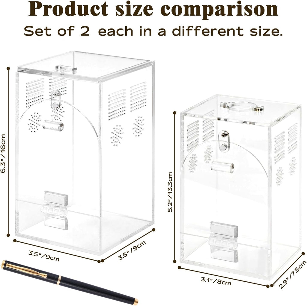 Set of 2 Jumping Spider Enclosure