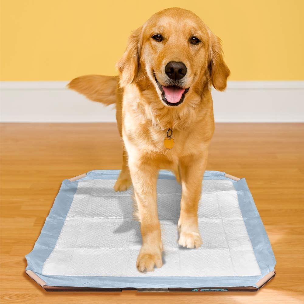 Simple Solution Dog Training Pad Holder, Fits Pads 21 by 21-Inch or Larger