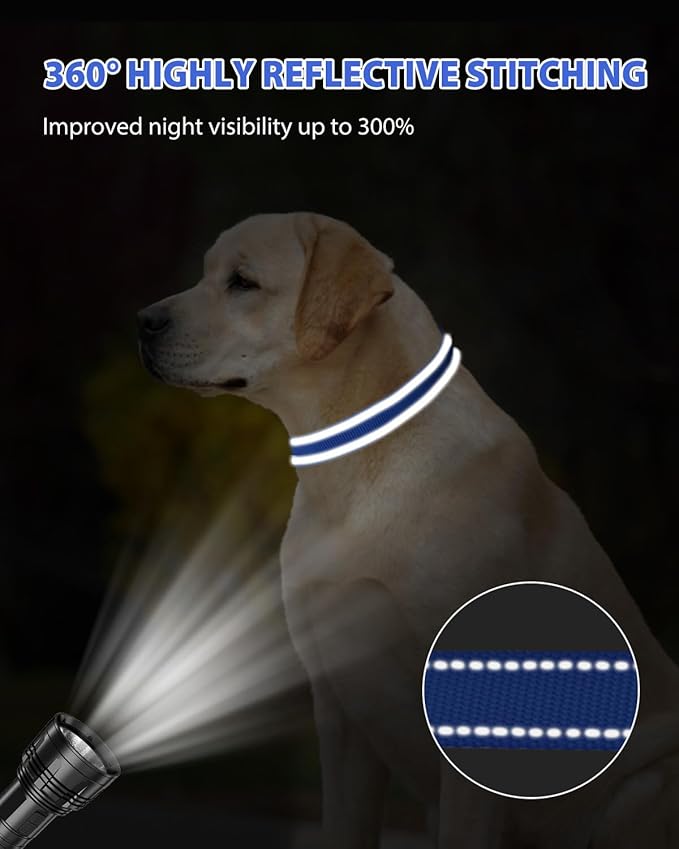 Joytale Reflective Dog Collar, Adjustable Nylon Pet Collar - Image 5