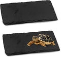 kathson 2 PCS Reptile Basking Platform (7.9 x 3.9 inches), Natural Rock Plate Turtle Food Bowl Feeding Dish Resting Terrace Habitat Decor for Tortoise Turtle Lizard Bearded Dragon Crested Gecko Snake