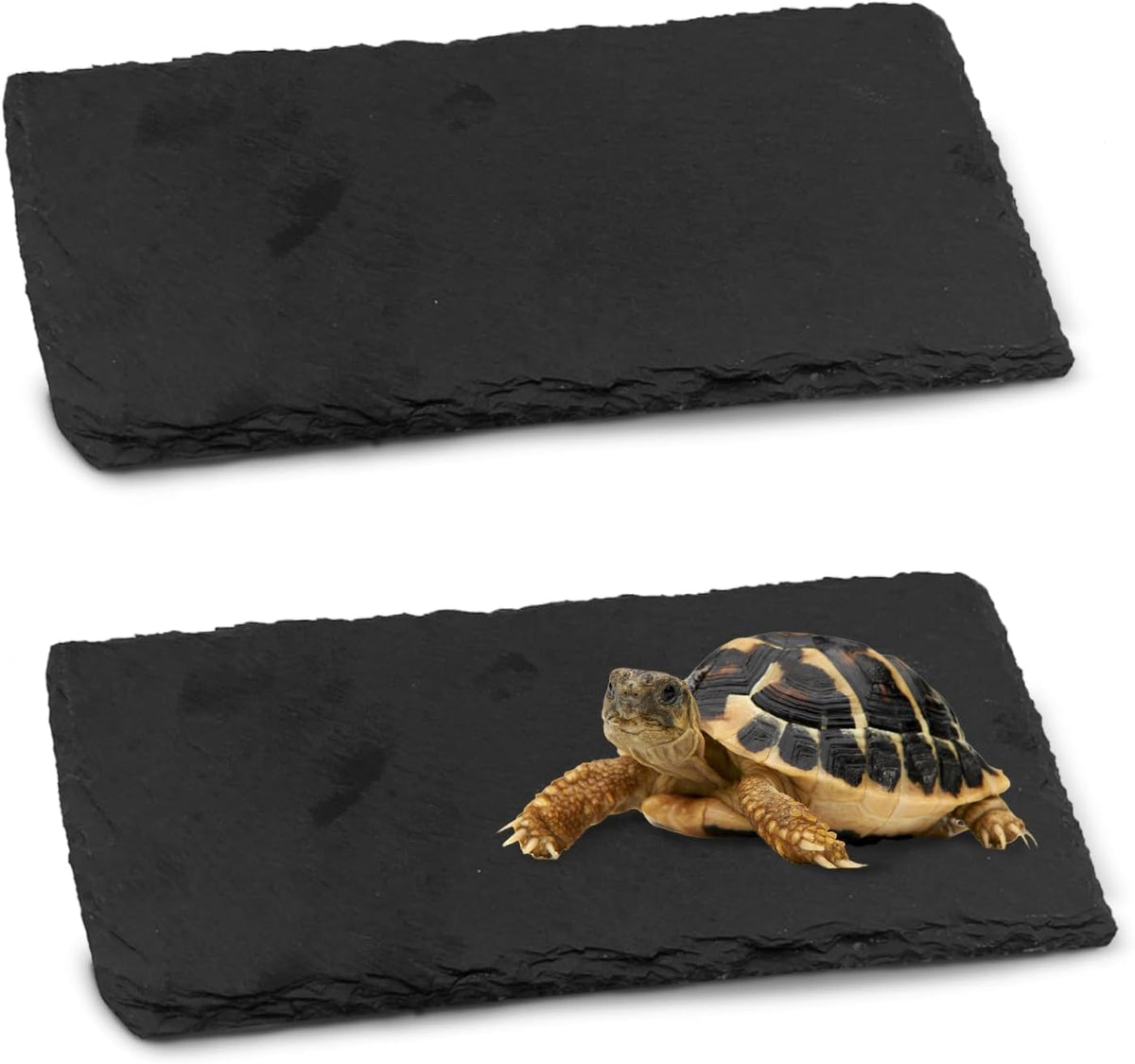 kathson 2 PCS Reptile Basking Platform (7.9 x 3.9 inches), Natural Rock Plate Turtle Food Bowl Feeding Dish Resting Terrace Habitat Decor for Tortoise Turtle Lizard Bearded Dragon Crested Gecko Snake