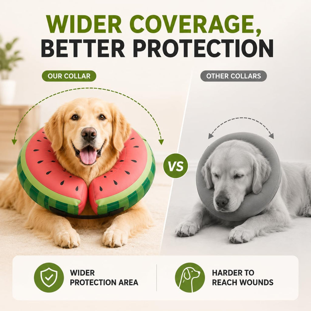 MIDOG Inflatable Dog Cone After Surgery, Donut Collar for Large Dogs, L