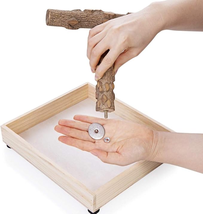 Bird Stand Tabletop, Portable Tee Stand, Parrot Play Stand Perch Gym - Image 4
