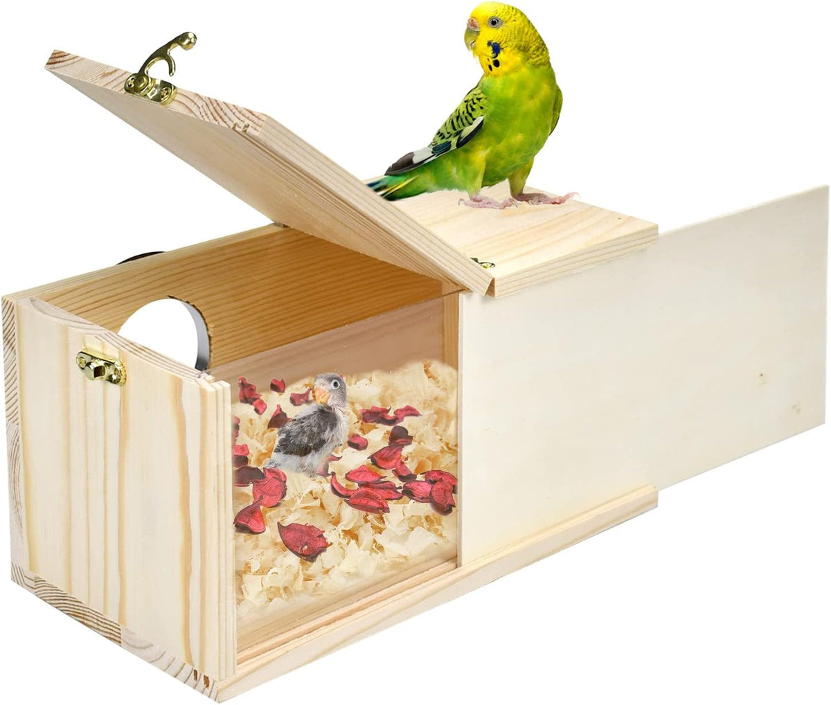 Parakeet Nesting Box Cockatiel Nesting Natural Pine Bird Nest Bird Breeding Box House Acrylic Transparent Bird Box with Detachable Wooden Board for Lovebirds Cockatiel Budgie Conure Parrot L
