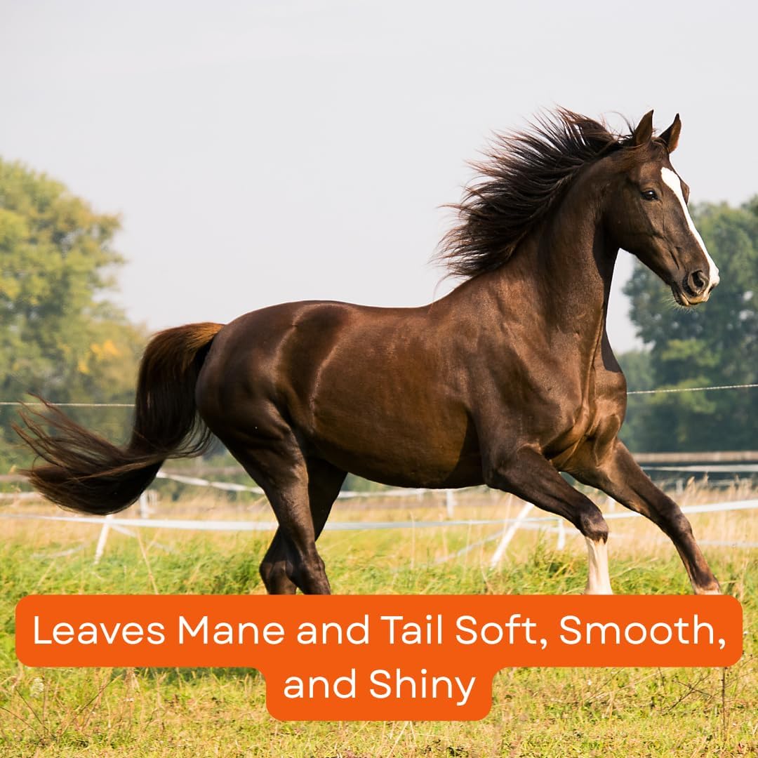 Corona Detangler & Shine Conditioner for Horses, Mane & Tail Grooming, 32oz