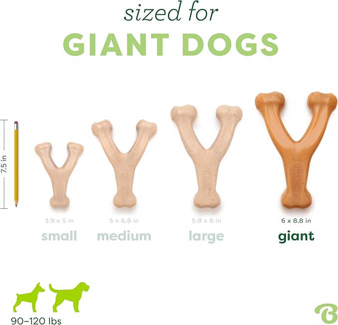 Benebone Wishbone Durable Dog Chew Toy - Image 4