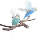 Bird Perch with Suction Cup Window Wall Bath Car Outdoor Travel Perch Stand by JINGHANGER