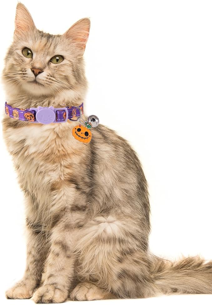 3 Pack Halloween Cat Collar - Image 4