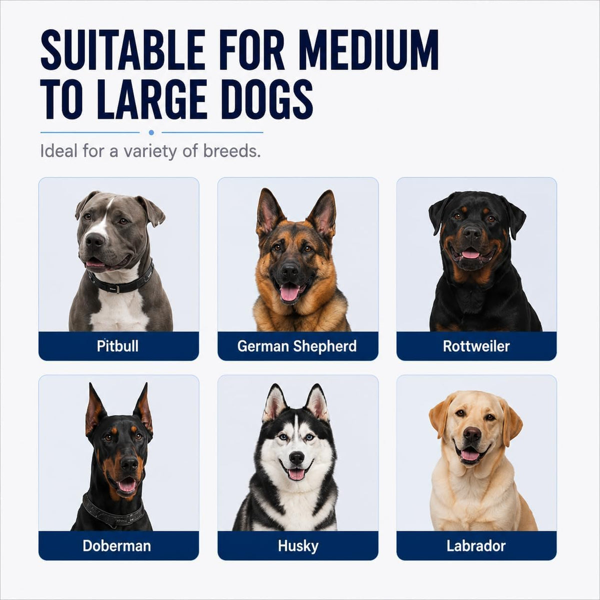 Pitbull Muzzle for Large Dogs, Sturdy Leather Muzzle Anti Biting Scavenging