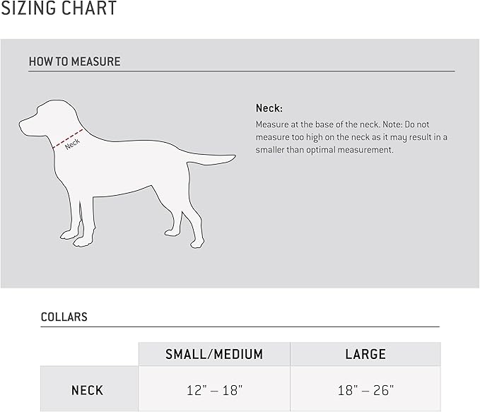 Carhartt Dog Collar, Fully Adjustable Webbing Collars - Image 5