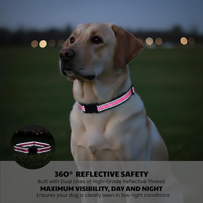 Dog Training Collar Replacement and Shock Collar Strap - Image 4