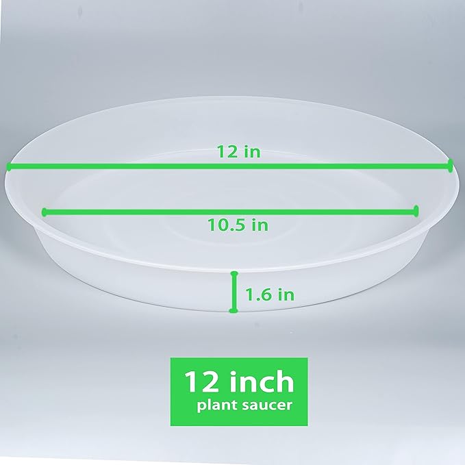 2 Pack of 12 inch Plant Saucer, 1.7" Depth Tray, Large Deep Garden Plastic - Image 2