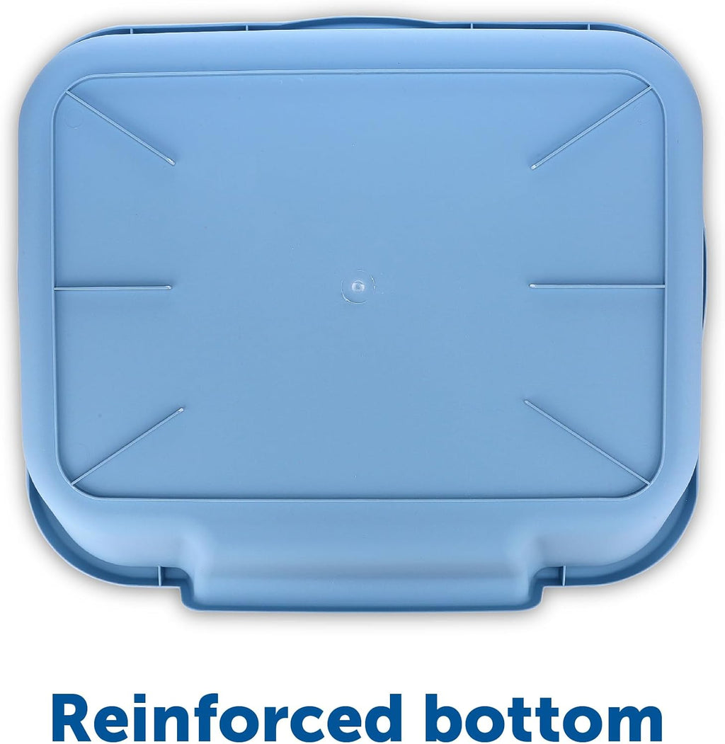KittyGoHere Senior Cat Litter Box, Large Litter Pan, Little Boy Blue
