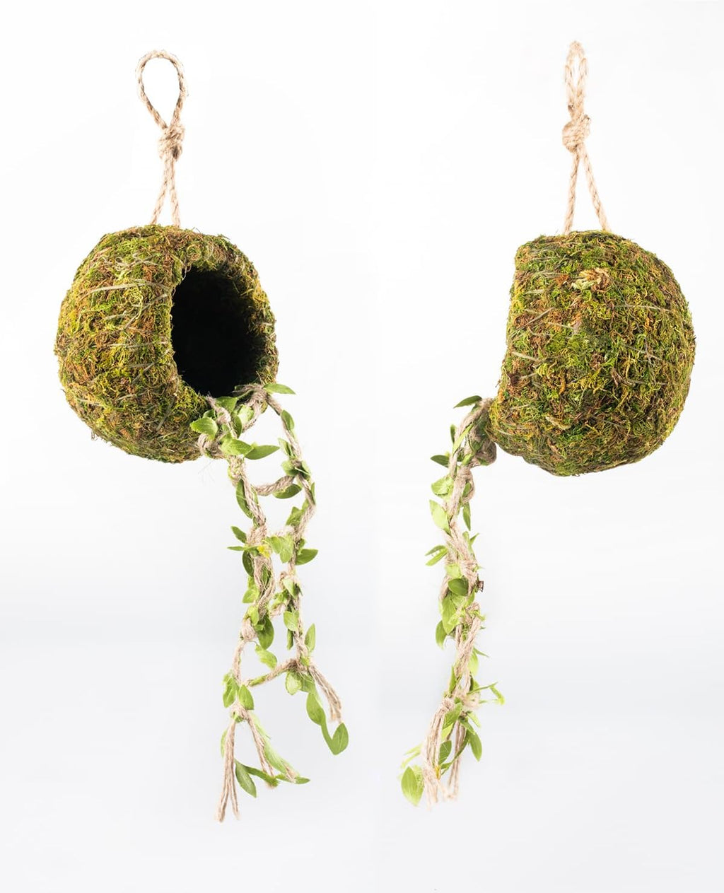 Reptile Hide with Hanging Climbing Ladder – Handmade Crested Gecko Tank Accessories, Hide for Crested Gecko, Hermit Crab, and Small Reptiles