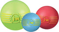 JW iSqueak Ball Durable Natural Rubber Dog Toy by JWPet
