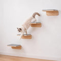 Wenqik 2 Pcs Cat Steps for Wall, Wooden Cat Climbing Shelf 10 x 10 x 4 Inch