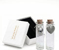 2 Pack Glass Pet Memorial Keepsake Bottle with Heart Charms, Sympathy Gift for Dog Cat Loss