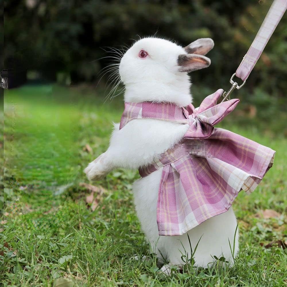 Rabbit Harness and Leash for Walking Escape Proof - Cute Skirt Mesh Breathable Bunny Vest Harness Outdoor Camping Hiking Training - Also Suit for Ferret Kittn Puppy Small Animals (X-Small,Pink)