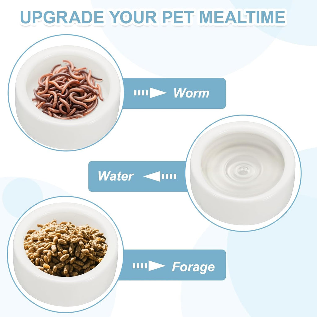Reptile Food Bowl,Worm Water Dish Ceramic Pet Bowl 4In,White