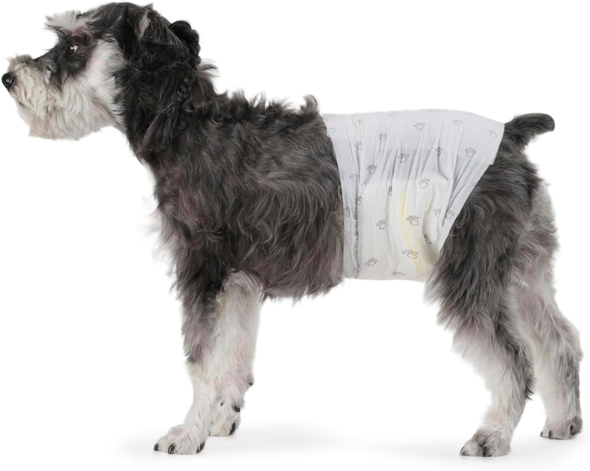 Amazon Basics Leak-Proof, Super Absorbent Male Dog Diapers with Wetness Indicator, Comfortable Design, Breathable Disposable Wrap, Secure Fit, Small, 30 Count
