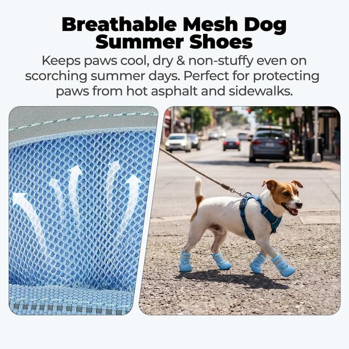 Mesh Dog Boots for Hot Sidewalks Asphalt Rainy Day and Rough Trail