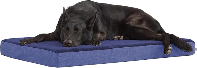 Barkbox Orthopedic Dog Bed | Comfortable Memory Foam Mattress by BARK