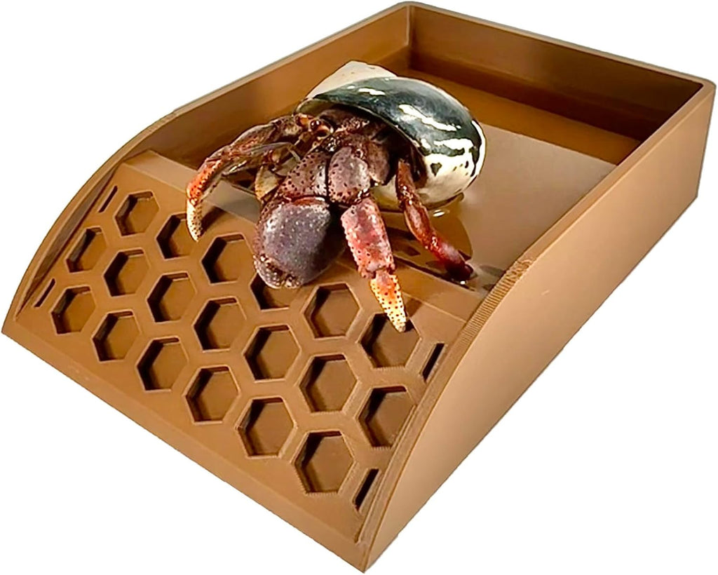 Lucky Critter Hermit Crab Pool with Ramp | Hermit Crab Tank Decor Water Bowl | Hermit Crab Decoration Accessories Supplies Toys Ornaments | Hermit Crab Habitat Enrichment Toy