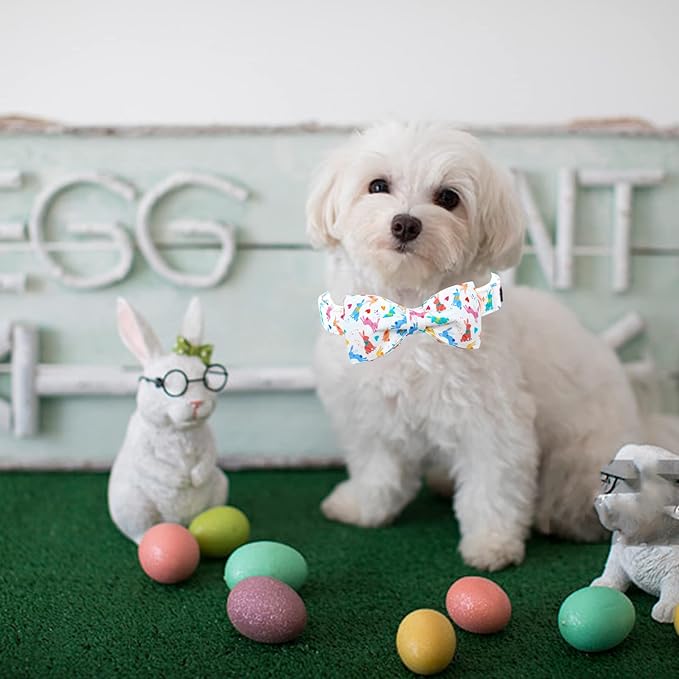 Lionheart glory Easter Dog Collar - Image 6