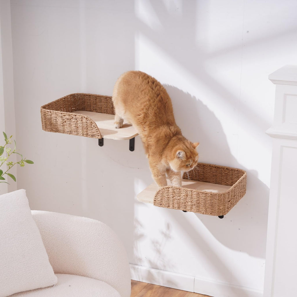 SHENGOCASE 2-Pack Wall Mounted Cat Bed Perch