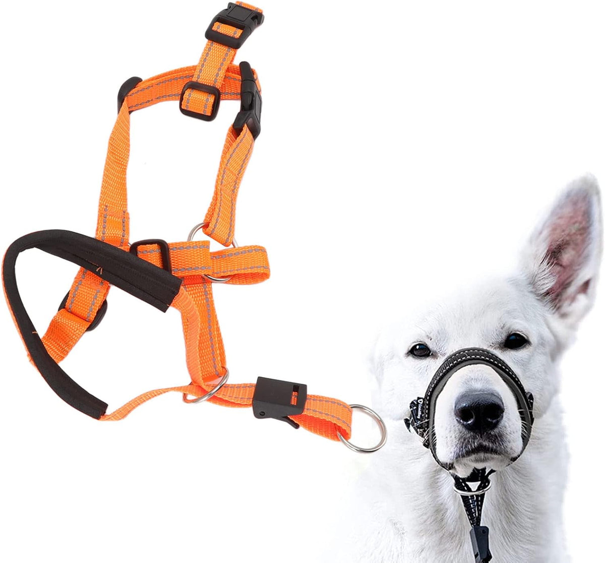 Fdit Dog Headcollar No Pull, Safety Strap, Breathable Fit