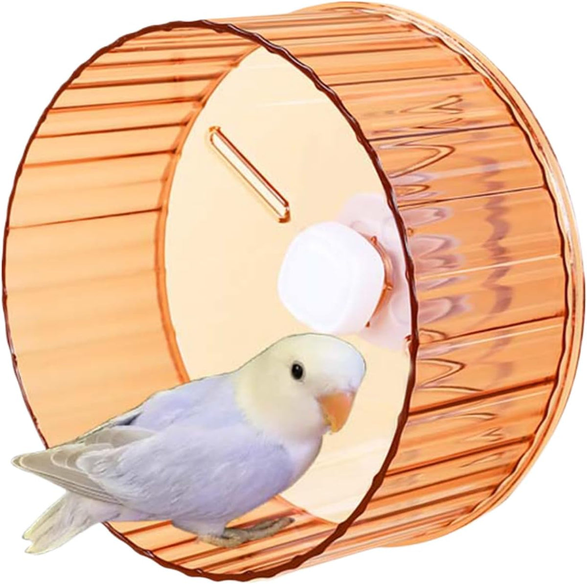 Bird Wheel Toy, Silent Parrot Exercise Wheel Interactive Rotating Toy for Small Medium Birds - Parakeets Cockatiels Conures Lovebirds Finches - Bird Cage Enrichment Accessory (L (8.3''D),Purple)