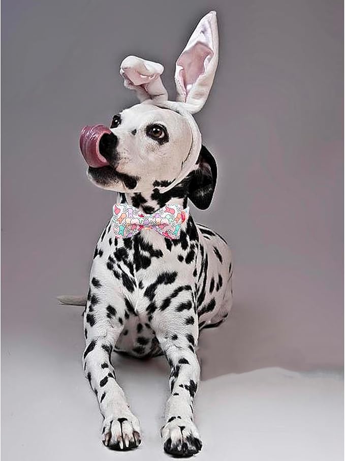 Lionheart glory Dog Bow Collar Easter Day Dog Collar - Image 5