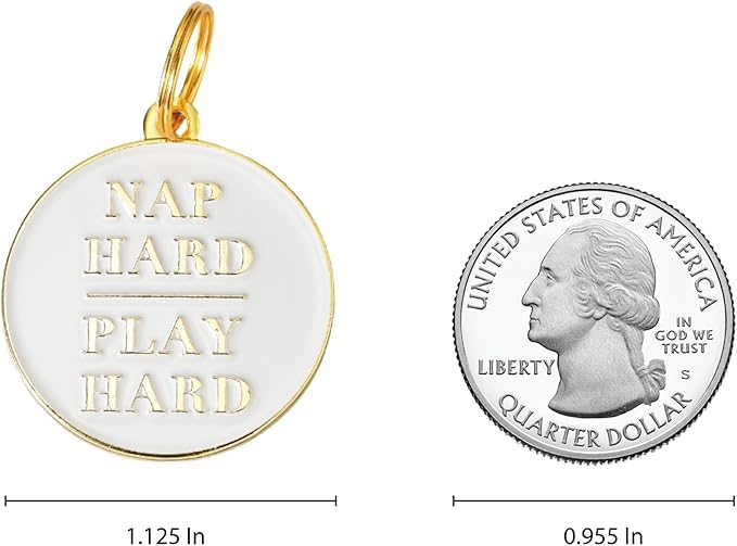 Two Tails Pet Company Personalized 'Nap Hard, Play Hard' Pet ID Tag & Collar - Image 2