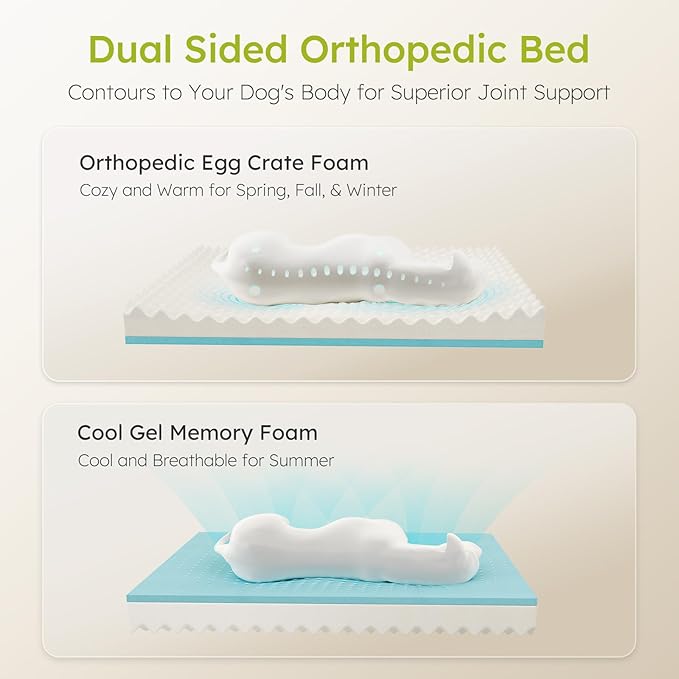 Extra Large Dog Bed, Orthopedic Dog Beds - Image 2