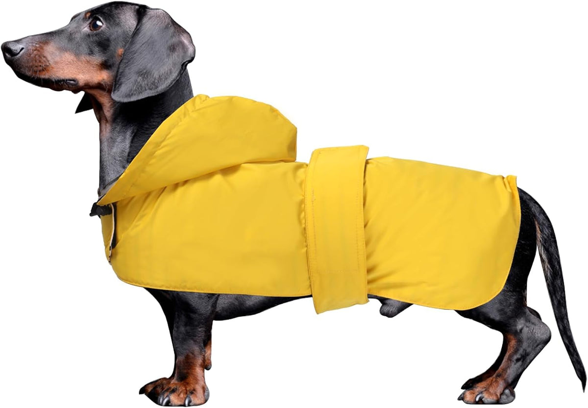 Dachshund Raincoat Clothes Jacket Dogs Waterproof fit for Dachshunds Weiner Long Back Breeds with Reflective Stripe Great Coverage Yellow M