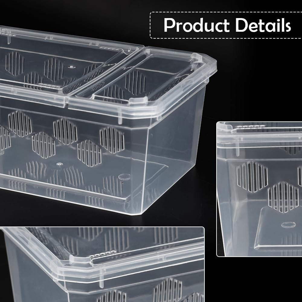 6 Pack Reptile Feeding Box Breeding Box Transparent Hatching Container Plastic Feeding Box for Small Reptiles Amphibians Spiders Scorpions Geckos Tortoises Treefrogs (Small Size)