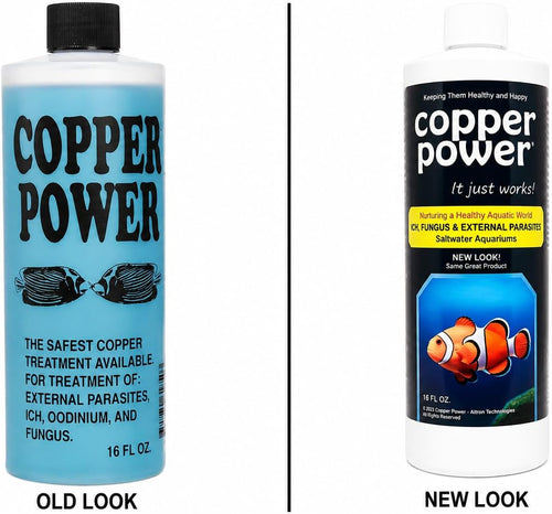 (Endich) ACP0016B Blue Treatment for Marine Fish, 16-Ounce